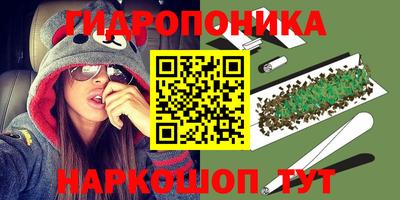 прущие грибы Татарск