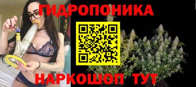 apvp Тверь