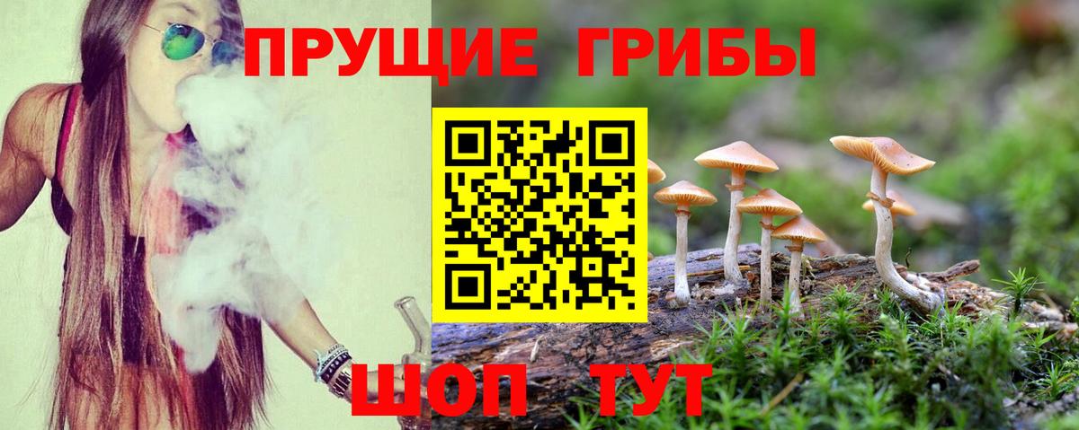 Псилоцибиновые грибы Magic Shrooms Нальчик
