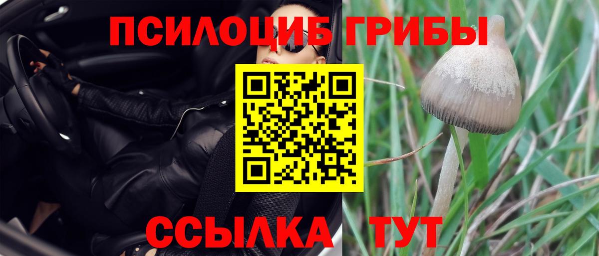 Псилоцибиновые грибы мицелий  Вход с VPN  Нальчик 